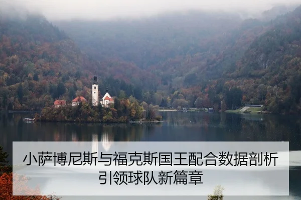 小萨博尼斯与福克斯国王配合数据剖析 引领球队新篇章
