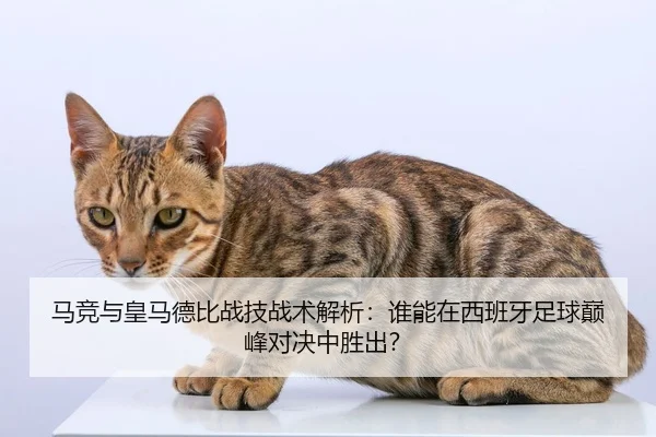 ma-jing-yu-huang-ma-de-bi-zhan-ji-zhan-shu-jie-xi-shui-neng-zai-xi-ban-ya-zu-qiu-dian-feng-dui-jue-zhong-sheng-chu-2-911.jpg